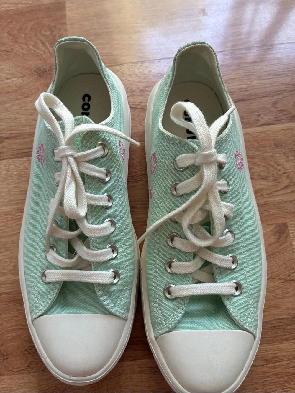 Converse lightweight canvas